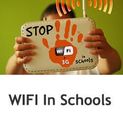 wifi radiation in schools